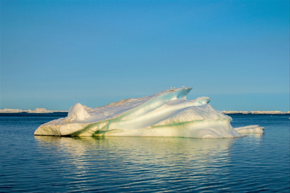 The birds love the coldness ice, too!