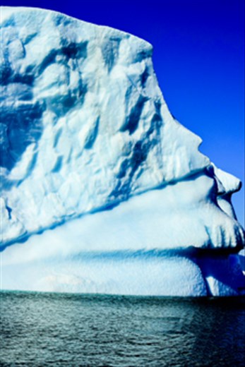 the nature caprice. We are not alone!