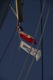 by gregfish, Views[157]