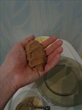 Mixing: by gris, Views[295]