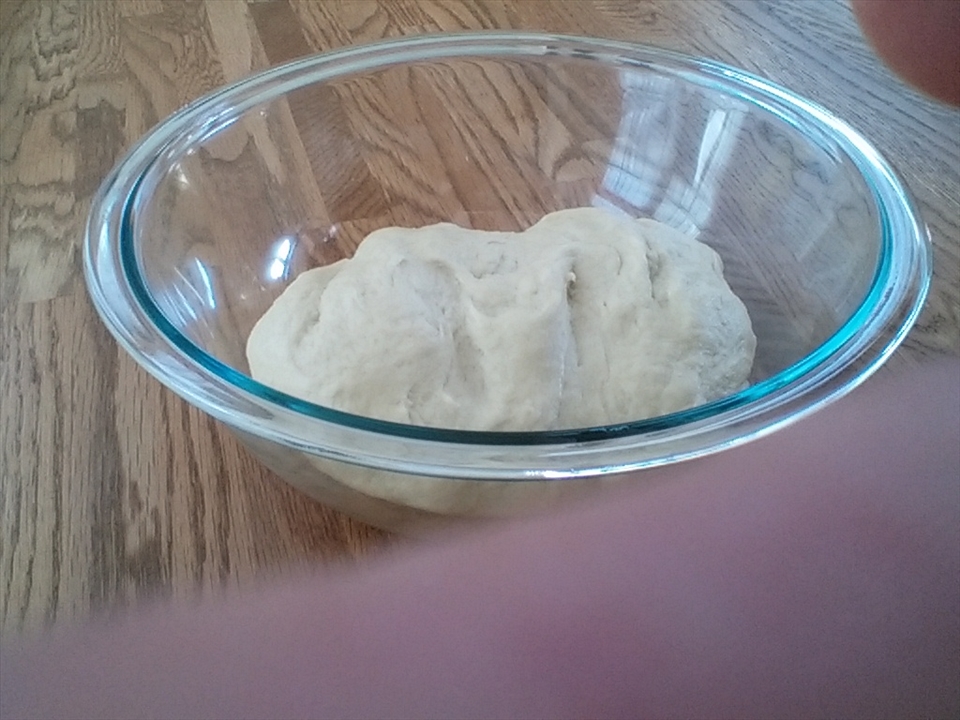 Dough is kneaded. Left to rise.