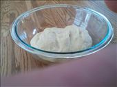 Dough is kneaded. Left to rise.: by grubgirl, Views[282]