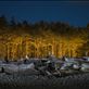 Third Beach is scattered with the remnants of great Redwoods against W. Hemlocks: by gsuhrie, Views[391]