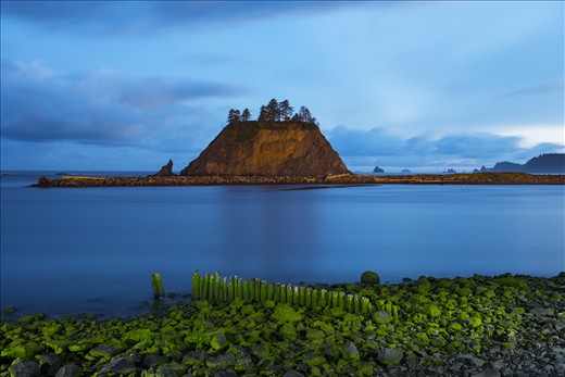 Sea spires dot the coastline from First Beach, Olympic Nat'l Forest, WA.