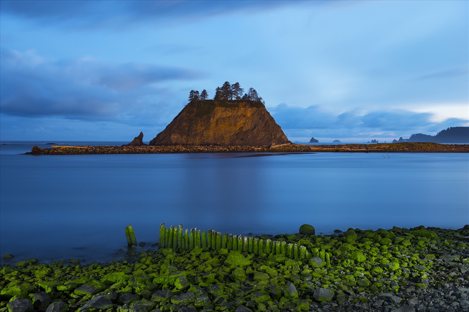Sea spires dot the coastline from First Beach, Olympic Nat'l Forest, WA.