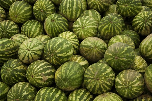 This a resume of what this market means to people: Work, colours, organasation.