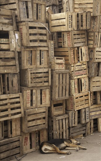 It may be wrong to find this kind of scene in a common market. Here is common.