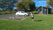 Seagull chasing: by guild_family_of_3, Views[265]