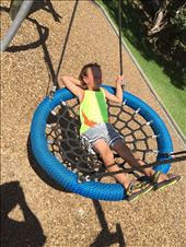 Relaxing at the park - Cable Bay: by guild_family_of_3, Views[705]