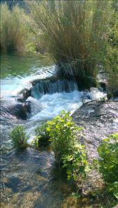 by guild_family_of_3, Views[292]