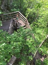 Seriously these stairs went on forever!!!: by guild_family_of_3, Views[266]