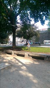 Pigeon chasing in the parks was definitely a favorite for Conner: by guild_family_of_3, Views[343]