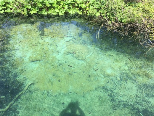 The water was so crystal clear, you could see down 30 feet in the deep lakes!