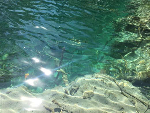 Never in my life have I seen water the color of the lakes in Plitvice!