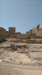 by guild_family_of_3, Views[182]