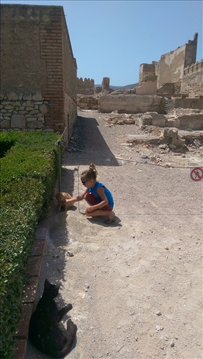 The cats of Alcazaba Citadel! We lured them in with kitty treats :-)