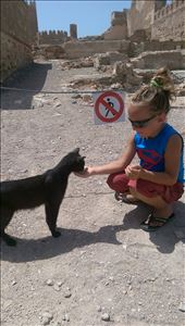 by guild_family_of_3, Views[394]