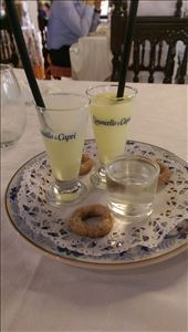 It seems pretty common here for meals to finish with some sort of Limoncello shot, a custom I heartily endorse :): by guild_family_of_3, Views[312]