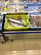 Fresh fish at the supermarket: by guild_family_of_3, Views[277]