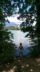 by guild_family_of_3, Views[1307]