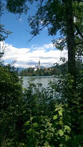 by guild_family_of_3, Views[209]