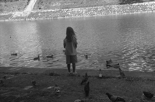 Duck and pigeon feeding was daily entertainment