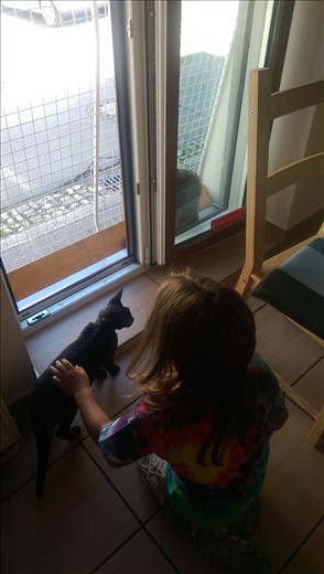 The coffee shop is the home of seven lovely and sweet cats.