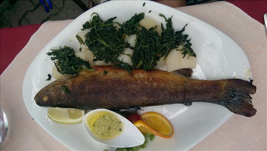 Conner loves his fish