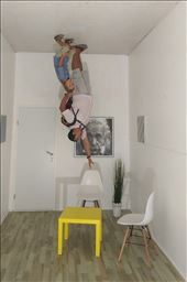 Museum of illusions: by guild_family_of_3, Views[310]