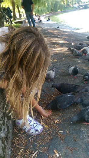 Feeding the pigeons out of his hand