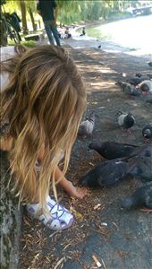 Feeding the pigeons out of his hand: by guild_family_of_3, Views[282]