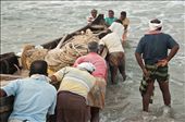 As we getting close to the water begins the most critical step. The weaves are strong and the fishermen cannot stop pushing. They are encouraging themselves all together. When the boat is on a trip they just have to install the long fishing net. : by guillandphotography, Views[363]