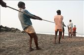 Some stay on the coastland to pull out the fishing net. They stay behind itch other pulling the long rope. A round is quickly organized every time the rope get pull out. This can takes lot of time and hard work as always. : by guillandphotography, Views[565]