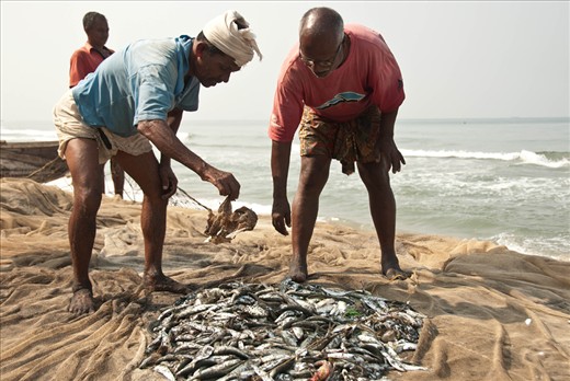 It is always a surprise to discover the result. Unfortunately sometimes they don’t catch much for all the effort they put on it.  