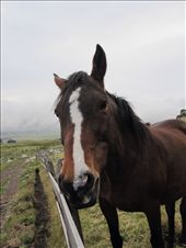 by guiri74, Views[170]