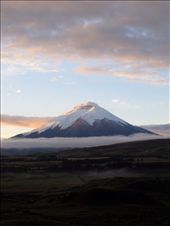 by guiri74, Views[241]