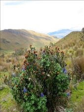 by guiri74, Views[200]