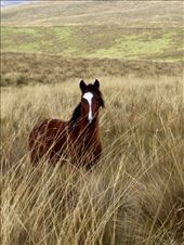 by guiri74, Views[235]