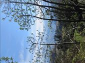 by guiri74, Views[176]