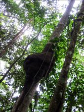 by guiri74, Views[174]