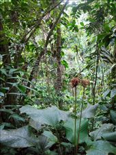 by guiri74, Views[184]