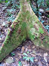 by guiri74, Views[186]