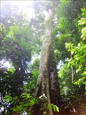 by guiri74, Views[210]