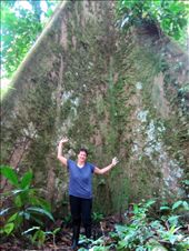 by guiri74, Views[281]