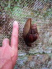 by guiri74, Views[205]