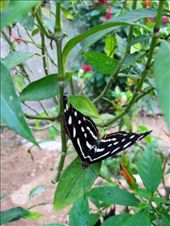 by guiri74, Views[178]