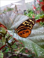 by guiri74, Views[177]