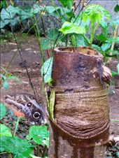 by guiri74, Views[258]