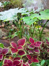 by guiri74, Views[246]