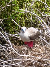 by guiri74, Views[136]